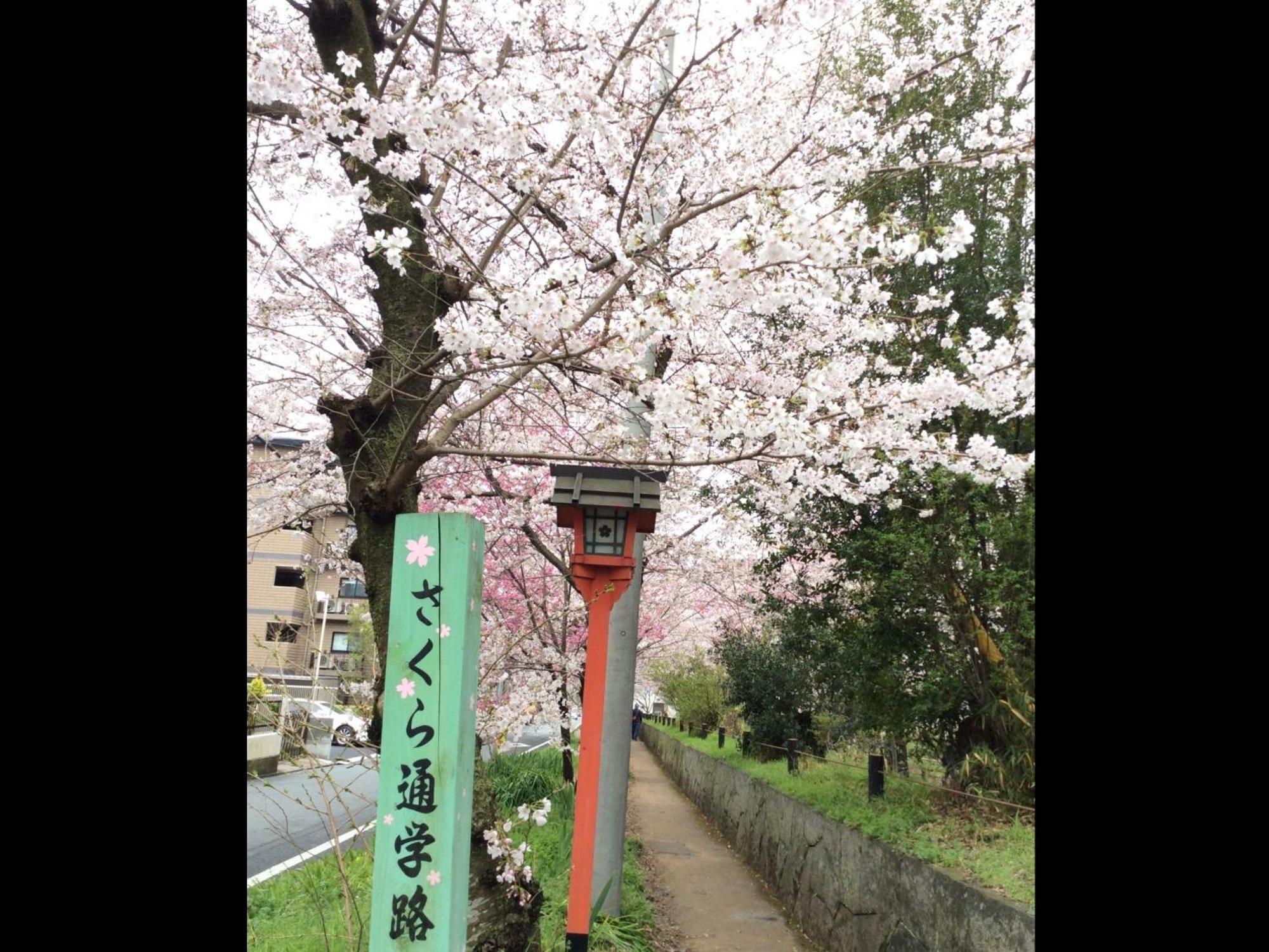 Kyounoyado Hana Nishijin - Kimono No Yado Kyoto Extérieur photo