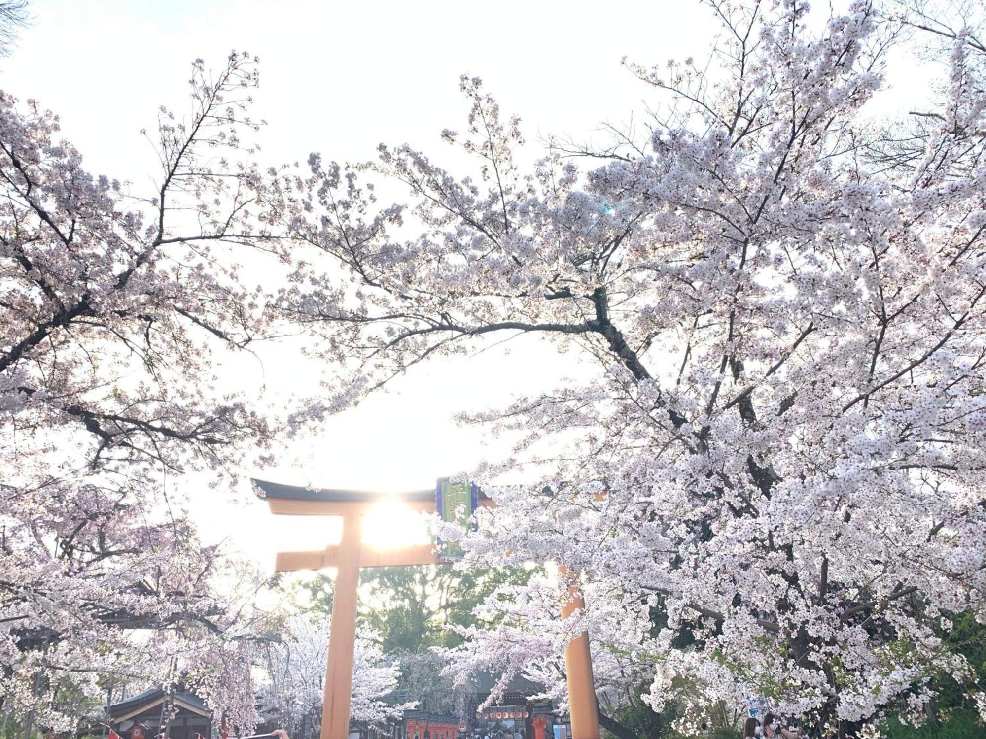 Kyounoyado Hana Nishijin - Kimono No Yado Kyoto Extérieur photo